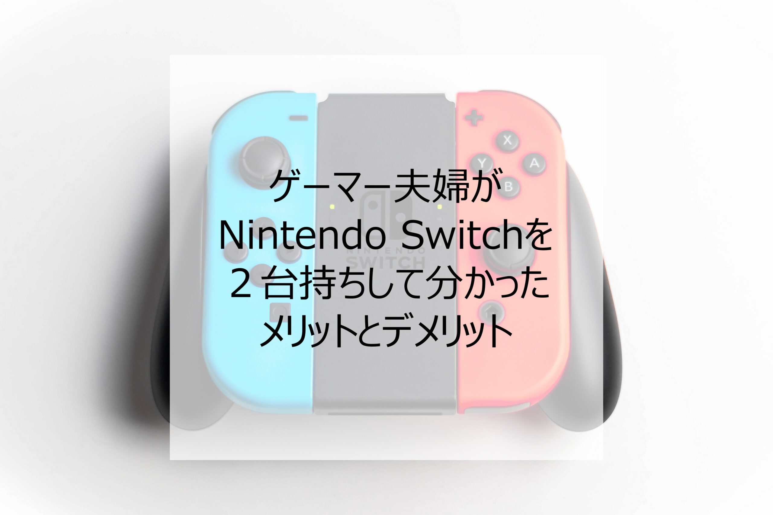 Switchを２人で２台持ちして分かったメリットとデメリット【ゲーマー 